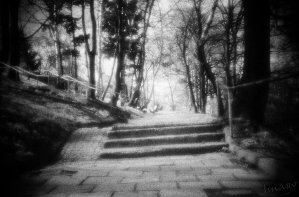 Dream A Little Dream...