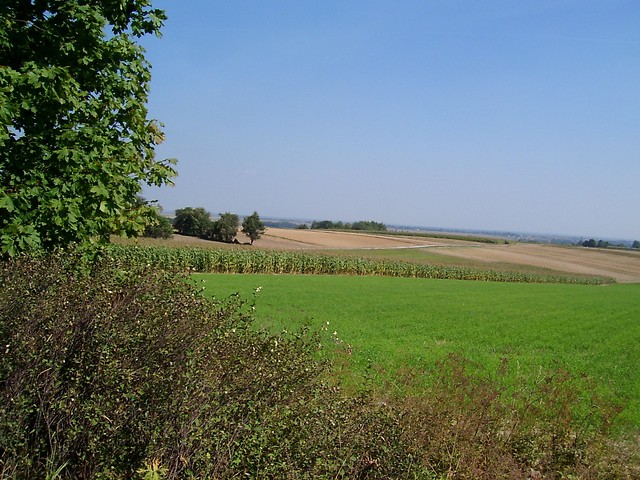 2.