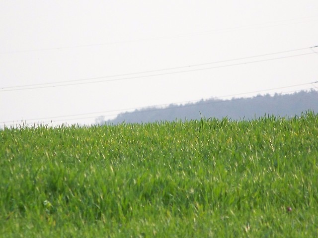 Foto z dzi... 