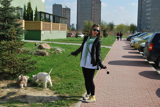 obiecane Mice ;d.