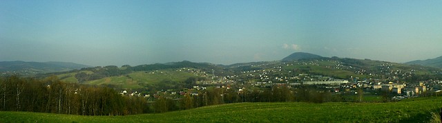 Grybw wiosn...