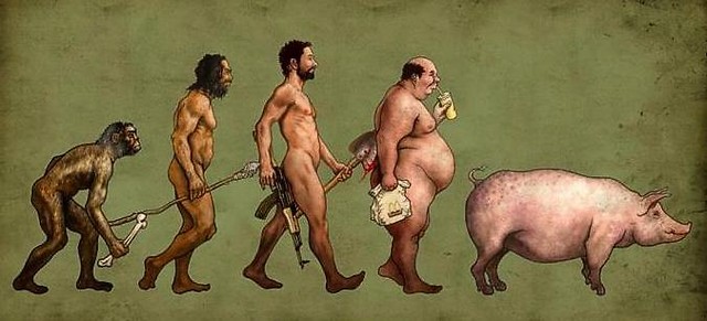 a guy is a pig.