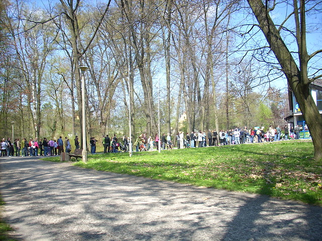 zoo;))