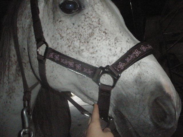 Mj nowy nabytek :)