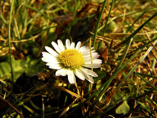 Wiosennie ;p