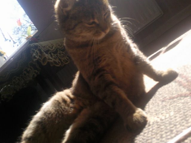 sierciuch ;*