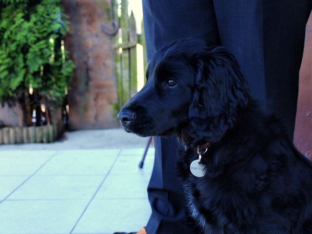 Fido