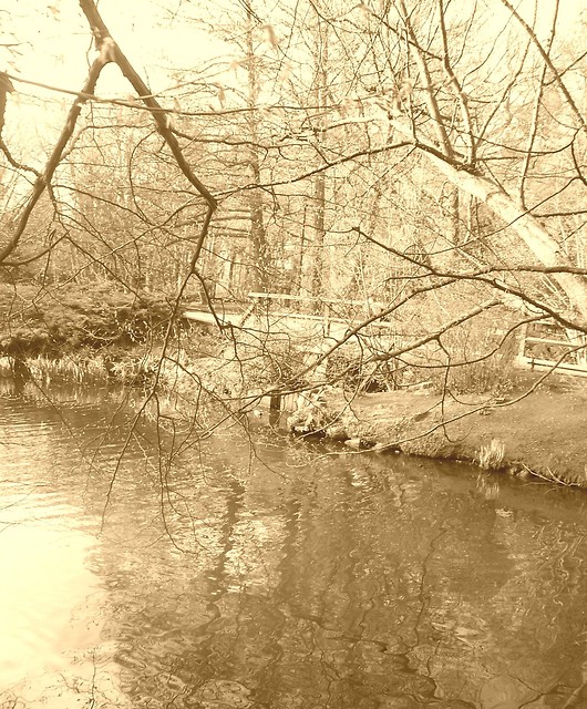 park