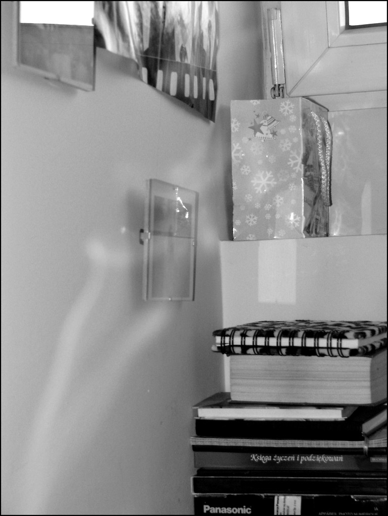 Photo by Domi. : **
