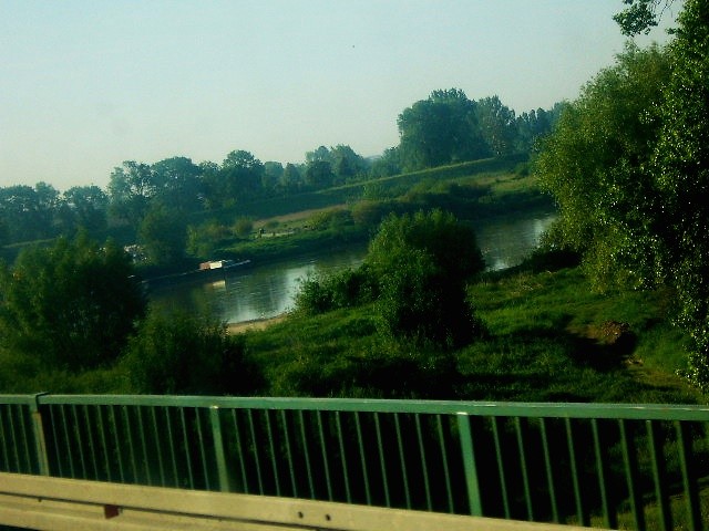 Lasek