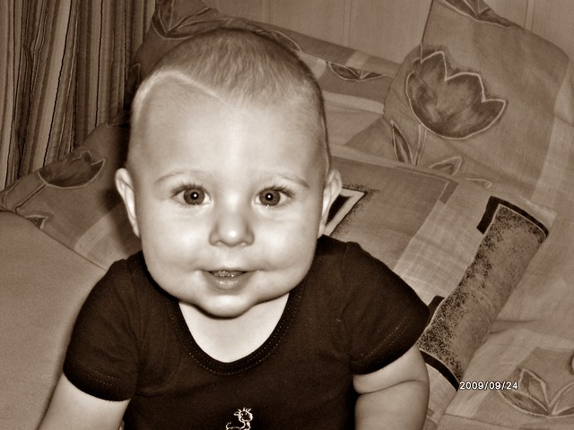 Olisiek Moj