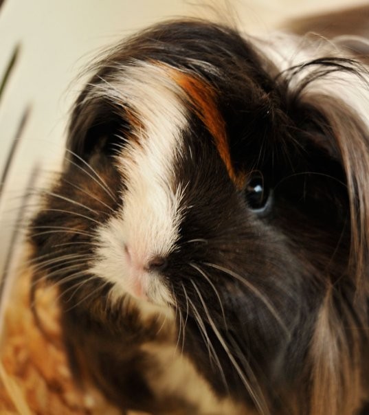 winituka ;D