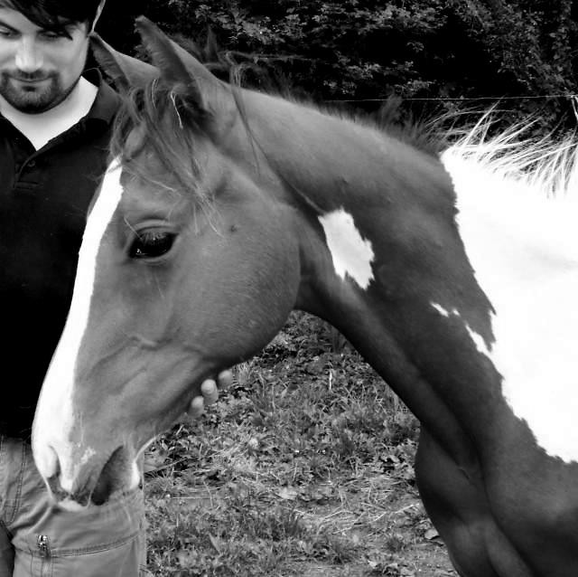 trener :D