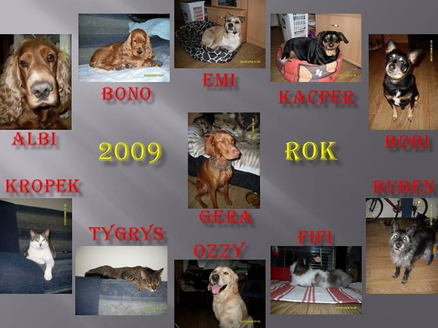 Podsumowanie 2009 roku