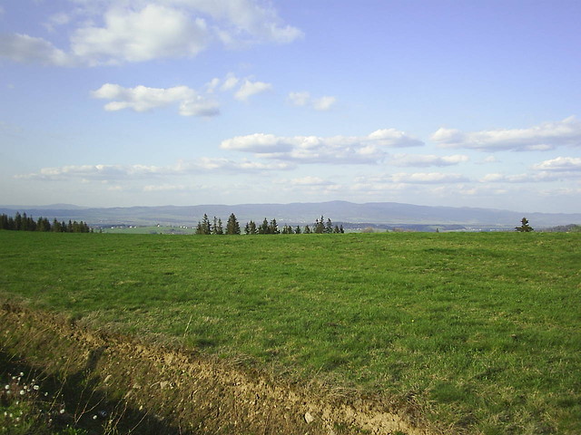 Majwka 2010
