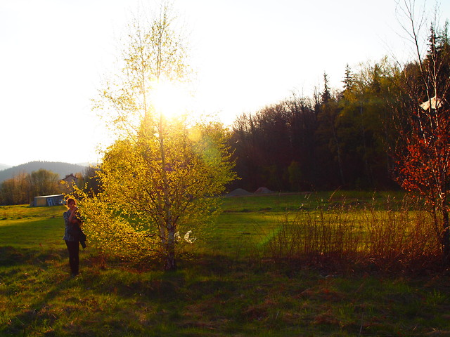 sunshinemakesmehigh