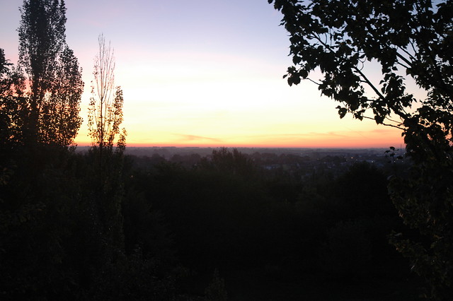 olejmy jutro