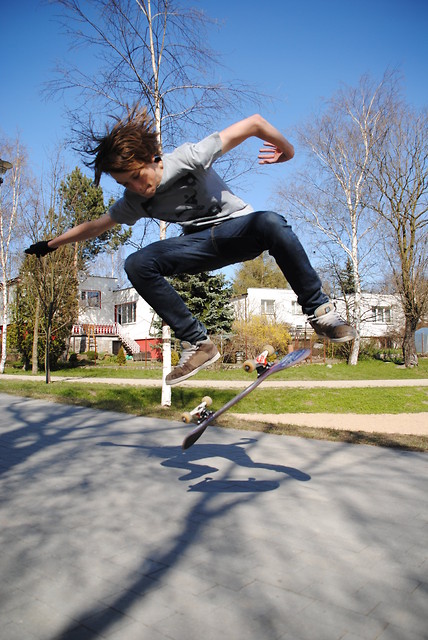 Flip - flat w parku