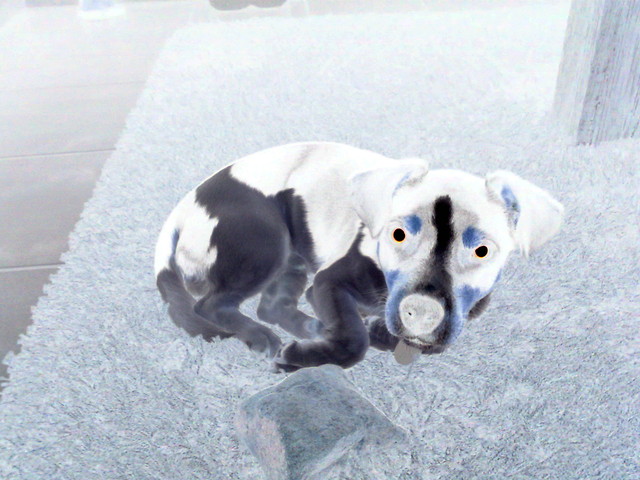 jake