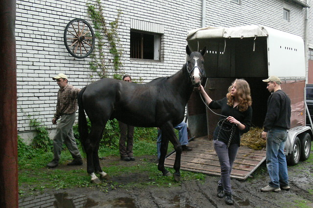 Newtonek w nowym domku.