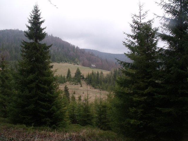 Przez gorczaskie hale