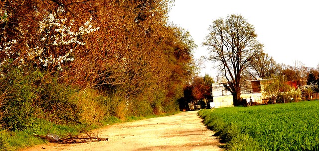 sobota