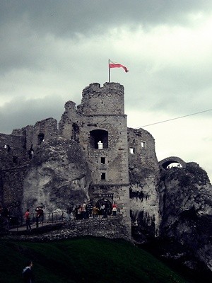 Zamek w Ogrodziencu ;)