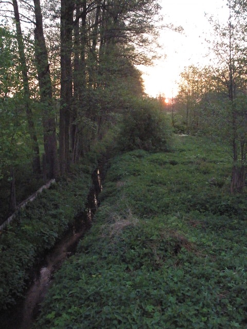 Rogno