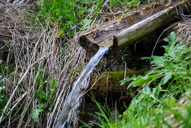 Bieszczady