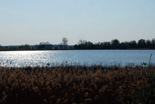 mazowsze
