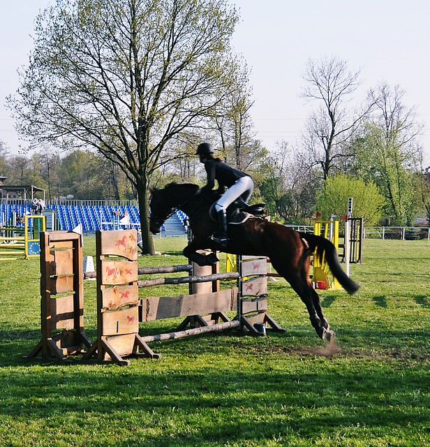orszownik