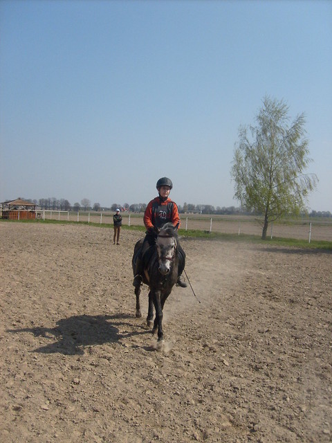 Delii ;**