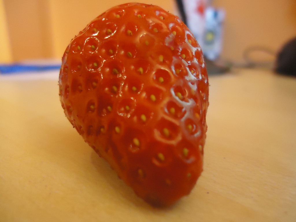 Tuskafka ; p