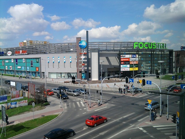 the view