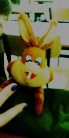 KrlaSek PiTasek ;p