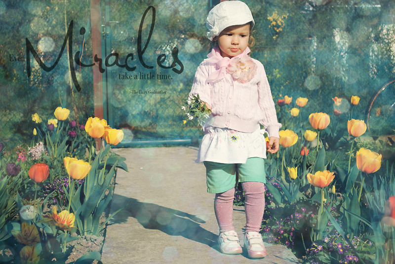 Miracle