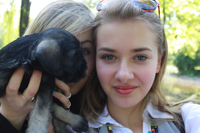 cute puppy