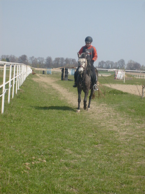 Delii ;**