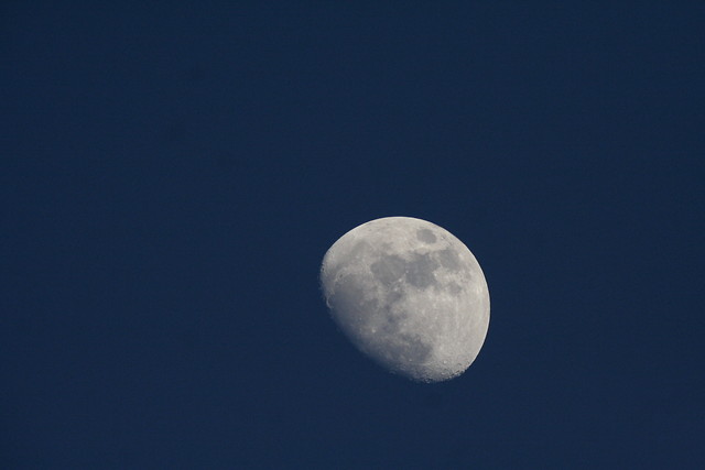 Moon