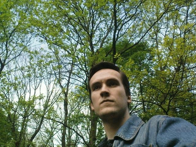 Listen to echo in Forest Kingdom