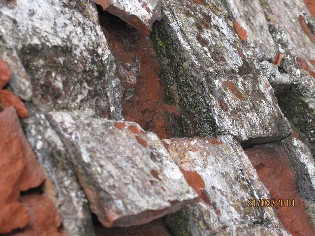 Brick by Brick.