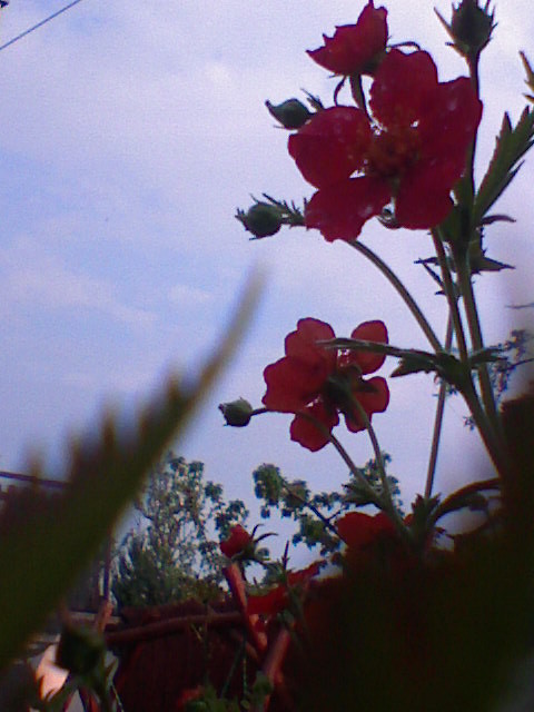   KffiateKk 