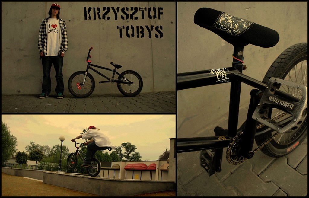 zapowied - Tobys