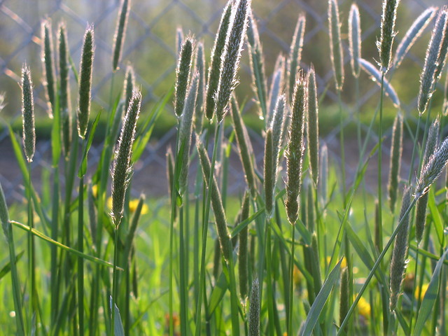 11 maja 2010