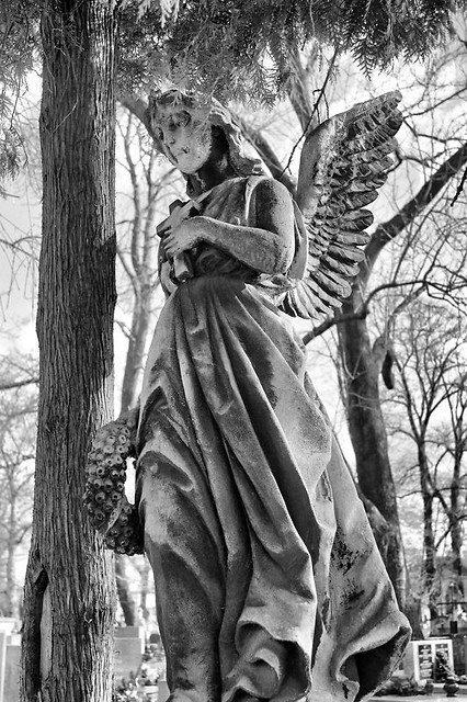 Angel