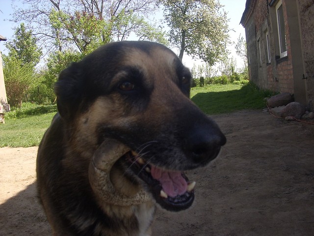 Keliii !