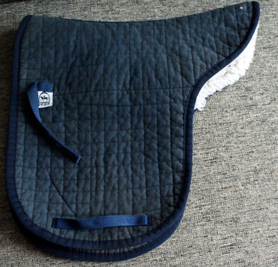 Pfiff Dressur 