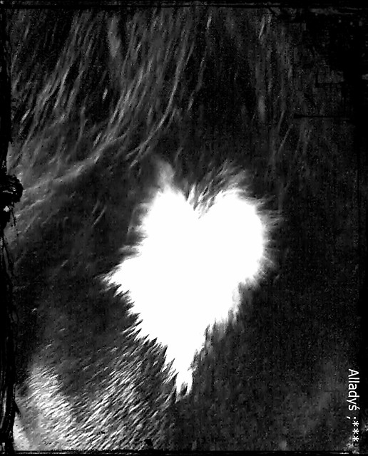 Allady ; ***