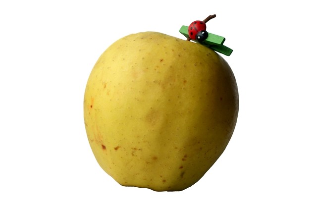 smacznego