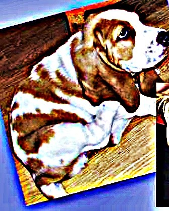 :0 :)